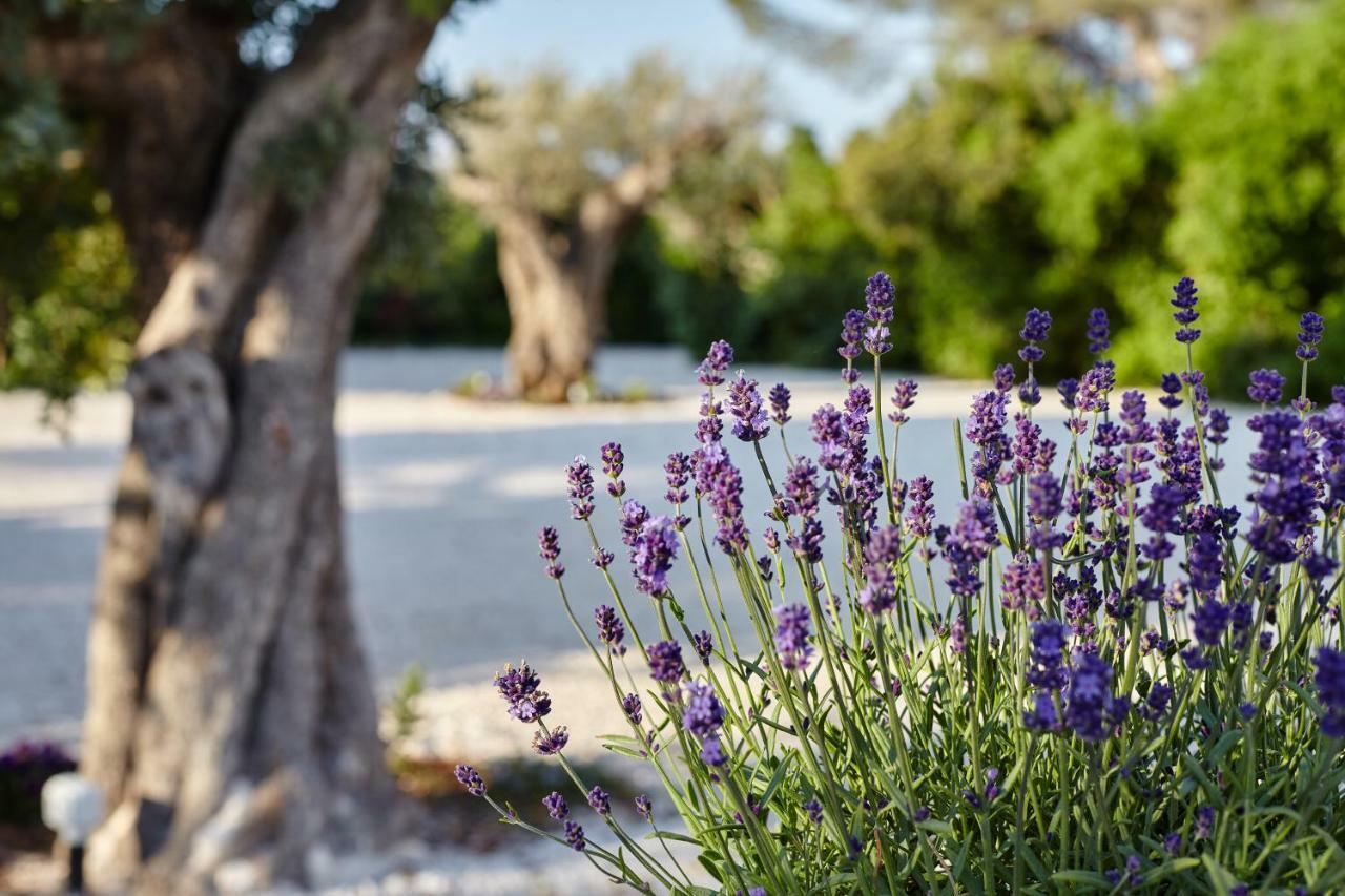 Bed and Breakfast Agapanto Masseria Conversano Zewnętrze zdjęcie